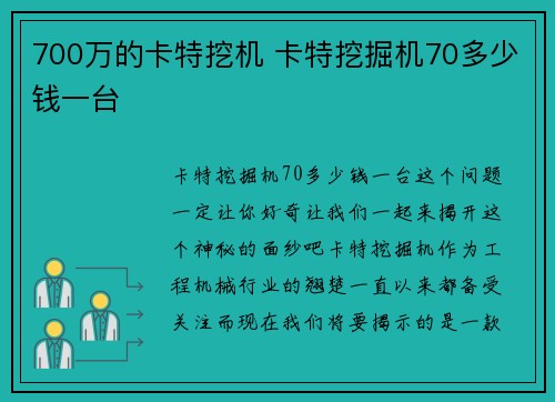 700万的卡特挖机 卡特挖掘机70多少钱一台